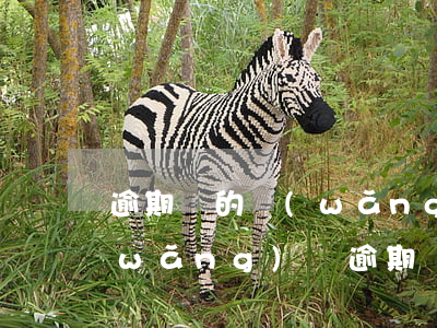 逾期過的網(wǎng)貸可以注銷嗎(網(wǎng)貸逾期過,還清了,還可以貸嗎?)