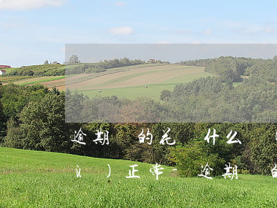逾期過的花唄什么時(shí)候恢復(fù)正常-逾期過的花唄什么時(shí)候恢復(fù)正常使用