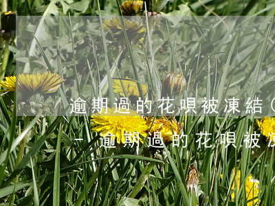 逾期過的花唄被凍結(jié)還能解凍嗎-逾期過的花唄被凍結(jié)還能解凍嗎怎么辦