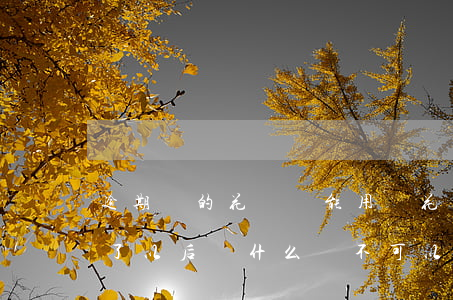 逾期過的花唄還能用嗎(花唄逾期了幾天還完了以后為什么還不可以使用)