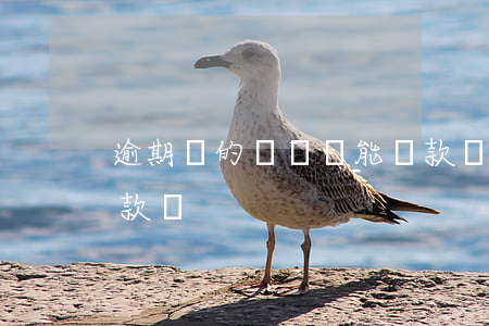 逾期過的貸戶還能貸款嗎(房貸逾期過還能貸款嗎)