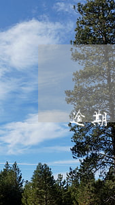 逾期過能用什么貸款(逾期是否可以貸款)
