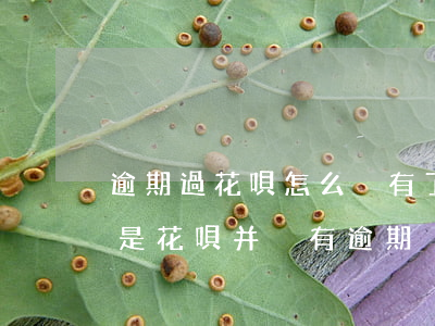 逾期過花唄怎么沒有了(借唄顯示花唄逾期,但是花唄并沒有逾期)
