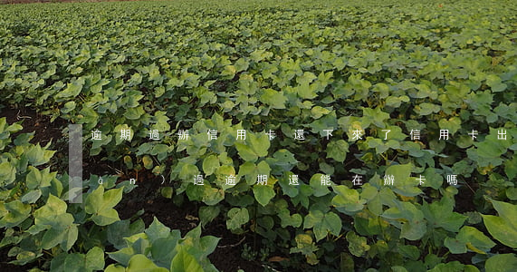 逾期過辦信用卡還下來了(信用卡出現(xiàn)過逾期,還能在辦卡嗎)