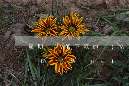 逾期過還能下款的網(wǎng)貸(逾期了還能網(wǎng)貸嗎)