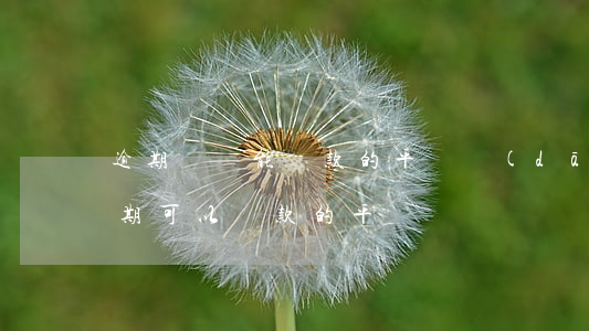 逾期過還能貸款的平臺(當(dāng)前逾期可以貸款的平臺)