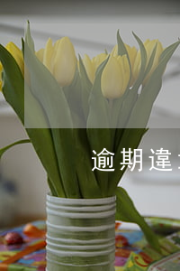 逾期違章罰款滯納金 違章處罰逾期滯納金