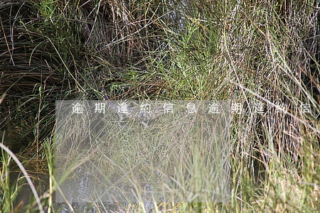 逾期違約信息(逾期違約信息怎么寫)