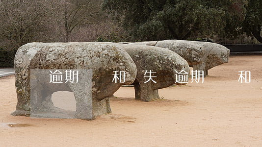 逾期違約和損失費(逾期違約和損失費)