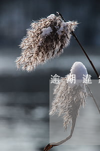 逾期違約怎么起訴(如何起訴違約)