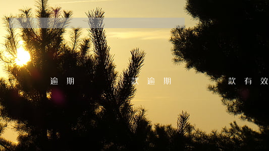 逾期違約條款 逾期違約條款有效嗎