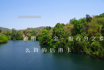逾期違約金一般百分之多少信用卡(違約金怎么算的信用卡)