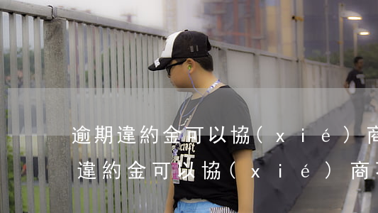 逾期違約金可以協(xié)商還款嗎(逾期違約金可以協(xié)商不給嗎)