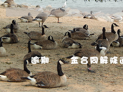 逾期違約金合同解除(逾期違約金合同解除)