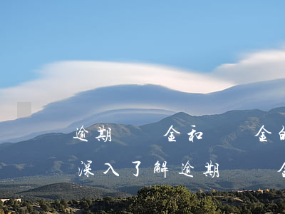逾期違約金和滯納金的區(qū)別是什么，深入了解：逾期違約金與滯納金有何區(qū)別？
