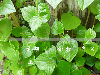 逾期違約金和罰息法院認可嗎(逾期的罰金合法嗎)