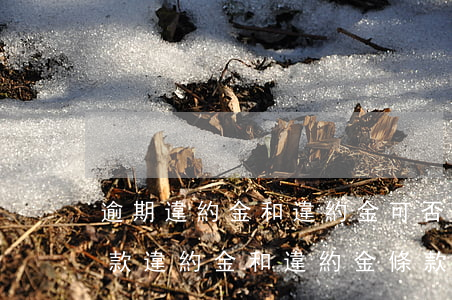 逾期違約金和違約金可否同時主張-逾期付款違約金和違約金條款可以并用嗎
