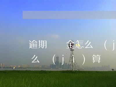 逾期違約金怎么計(jì)算(逾期違約金怎么計(jì)算)