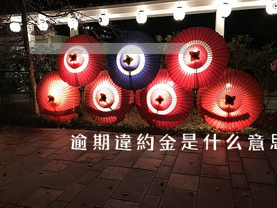 逾期違約金是什么意思（逾期收違約金犯法嗎）