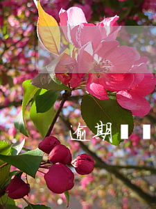 逾期違約金有什么用