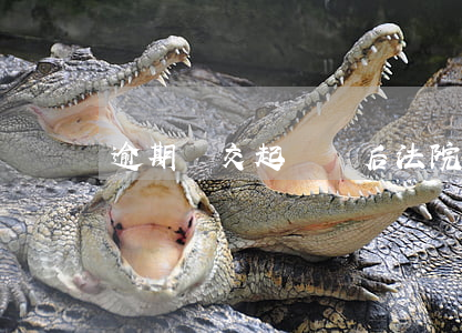 逾期遞交起訴狀后法院多久通知