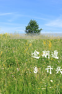 逾期遭1068通知说被列入坏账-1068开头短信说我严重逾期