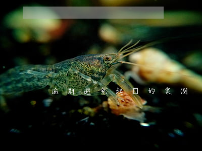 逾期避免起訴的案例