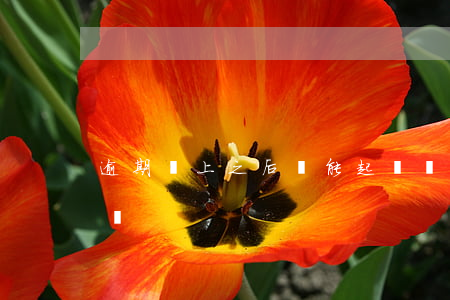 逾期還上之后還能起訴嗎(逾期還上還能貸款嗎)