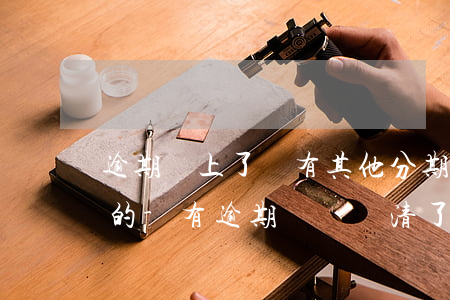 逾期還上了還有其他分期沒(méi)有還的-有逾期記錄還清了,還能再辦理分期嗎