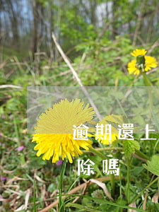 逾期還上后征信怎么辦(逾期還了后征信能消除嗎?)
