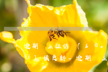 逾期還上征信報(bào)告什么時(shí)候更新-逾期還上征信報(bào)告什么時(shí)候更新一次