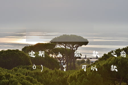 逾期還上還能貸款嗎 之前貸款逾期過(guò)還了還可以貸款嗎