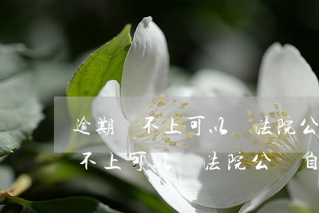 逾期還不上可以請法院公訴自己嗎-逾期還不上可以請法院公訴自己嗎怎么辦