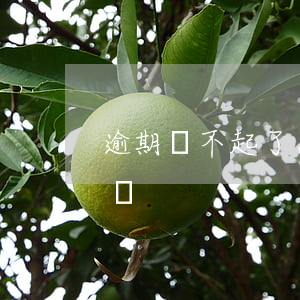 逾期還不起了怎么處理（逾期了真還不上怎么辦）