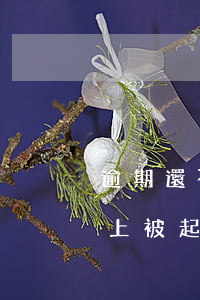 逾期還不起被銀行起訴怎么辦-欠銀行還不上被起訴了怎么辦