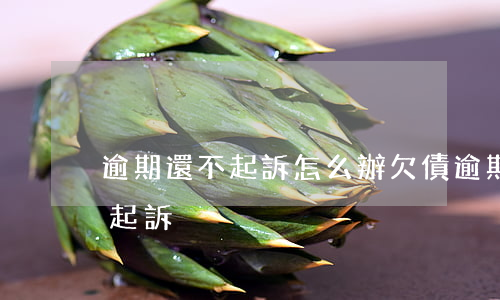 逾期還不起訴怎么辦(欠債逾期不還多久可以起訴)