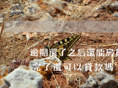 逾期還了之后還能房貸嗎(貸款逾期了之后還完了還可以貸款嗎)