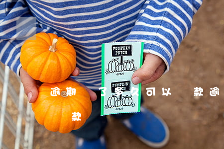 逾期還了多久可以貸款(逾期還款后多久可以貸款)