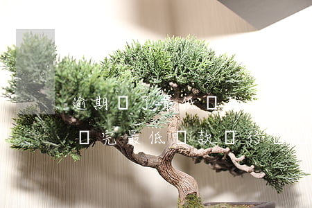 逾期還了最低還款為什么還打電話-逾期后還完最低還款銀行還會(huì)打電話嗎