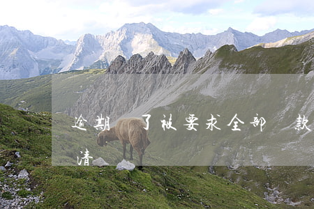 逾期還了被要求全部還款(逾期后要求一次還清)