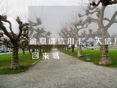 逾期還信用卡一天（信用卡逾期一天利息能要回來嗎）