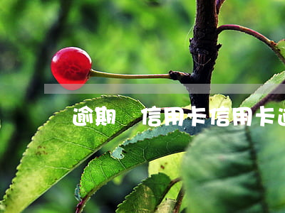 逾期還信用卡(信用卡逾期未還)