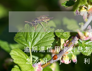 逾期還信用卡利息怎么算（信用卡逾期未還款怎么計(jì)利息嗎）