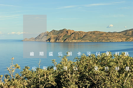 逾期還信用卡可以免利息嗎(一次性還清逾期信用卡可以減免些利息嗎)