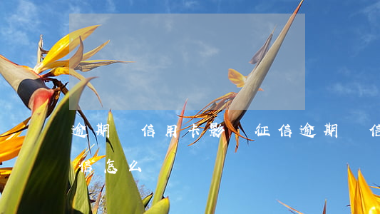 逾期還信用卡影響征信(逾期還信用卡影響征信怎么辦)