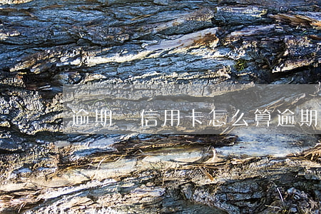 逾期還信用卡怎么算(逾期還款怎么算)