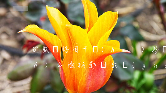 逾期還信用卡會(huì)影響出國(guó)么(逾期影響出國(guó)簽證嗎)