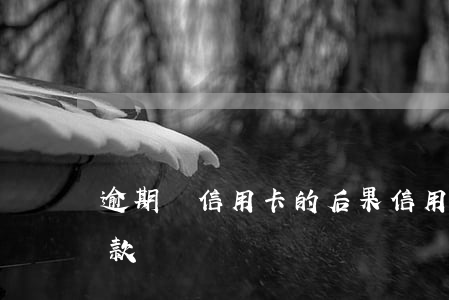 逾期還信用卡的后果（信用卡逾期停用可以還款嗎）