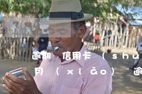 逾期還信用卡說(shuō)三個(gè)月銷(xiāo)戶(逾期的信用卡還清后能銷(xiāo)戶嗎)