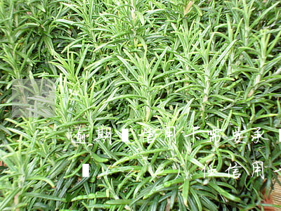 逾期還信用卡需要承擔(dān)什么法律責(zé)任（信用卡還款逾期要錢嗎）